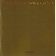 MALAZONIA DAVID - FIRST SHALLOW