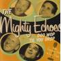 MIGHTY ECHOES THE - DOO WOP TIL YOU DROP