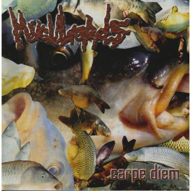 MUCULORDS - CARPE DIEM
