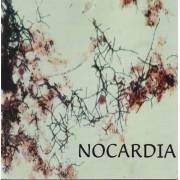NOCARDIA - NOCARDIA