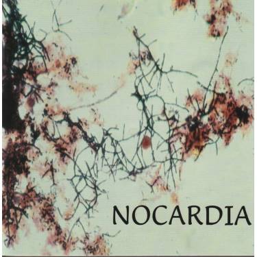 NOCARDIA - NOCARDIA