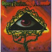 OPEN FESTERING WOUNDS - MINDSTATES