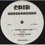 VARIOUS ( CRIB UNDERGROUND ) - FORGET ABOUT DRE - I WANNA KNOW - DO THE LADIES RUN THIS