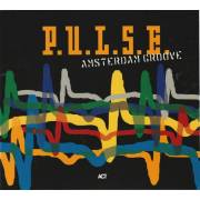 P.U.LS.E. - AMSTERDAM GROOVE