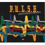 P.U.LS.E. - AMSTERDAM GROOVE