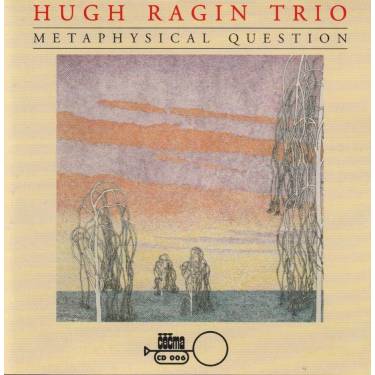 RAGIN HUGH TRIO - METAPHYSICAL QUESTION