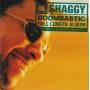 SHAGGY - BOOMBASTIC