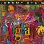 STEIG JEREMY - JIGSAW