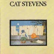 STEVENS CAT - TEASER & THE FIRECAT