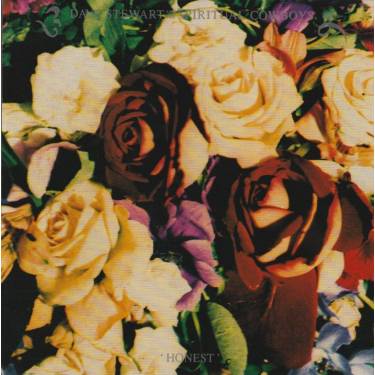 STEWART DAVE AND THE SPIRITUAL COWBOYS - HONEST