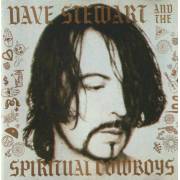 STEWART DAVE AND THE SPIRITUAL COWBOYS - DAVE STEWARTAND THE SPIRITUAL COWBOYS