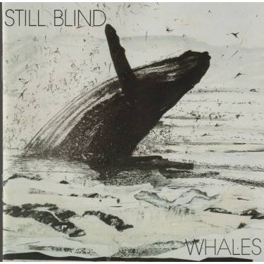 STILL BLIND  - WALES