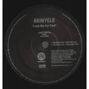 AKINYELE - LOVE ME FOR FREE ( RADIO - INSTRUMENTAL - F**K ME FOR FREE - LP )