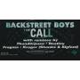 BACKSTREET BOYS - PROMO - THE CALL WITH REMIXES BY THUNDERPUSS DESTINY FRAGMA KRUGER