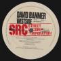 BANNER DAVID - PROMO - PLAY ( CLEAN - MAIN -INSTRUMENTAL