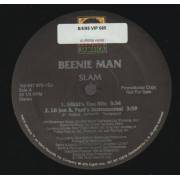 BEENIE MAN - PROMO - SLAM ( DYNAMIC DUO TV MIX - ALBUM VERSION -NIKKI'S TOO MIX - LIL JON & PAUL'S INSTRUMENTAL )