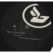 BJORK - ALARM CALL ( ALAN BRAXE & BEN DIAMOND REMIX - TEASMADE DUB - ALAN BRAXE & BEN DIAMOND EDIT )