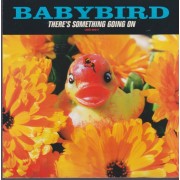 BABYBIRD - THERE’S SOMETHING GOING ON