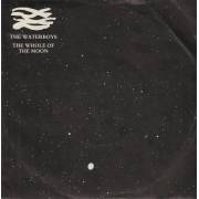 WATERBOYS THE - THE WHOLE OF THE MOON / MEDICINE JACK