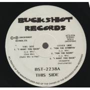 BUCKSHOT RECORDS ( V.V.A.A.) - I WANT YOU BACK ( LP - CLUB - RADIO MIX ) / FOR THE STREETS / FOR THE RADIO /
