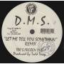 D.M.S. - LET ME TELL YOU SOMETHING ( TEE'S ILLHOUSE MIX - TEE'S FROZEN DUB )