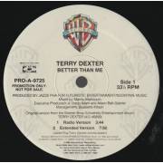 DEXTER TERRY - PROMO - BETTER THAN ME ( RADIO VERSION - EXTENDED - INSTRUMENTAL -A CAPPELLA )