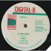 DIGITAL - B / COBRA - A TEK HIM  ( CLUB MIX - HOUSE MIX - VERSION )