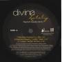 DIVINE - PROMO - LATELY RAPHAEL SAADIQ REMIX ( DJ MIX - MAIN - SINGLE VERSION - W/ RAP - INSTR - ACAPPELLA )