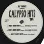 DJ TOOLS - CALIPSO HITS ' 94 ( HOT ! HOT ! HOT ! / ELECTRIC SLIDE / DOLLAR WINE )