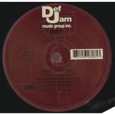 DMX feat SISQO - WHAT YOU WANT  / FAME ( RADIO - LP VERSION - INSTR )