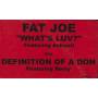 FAT JOE - WHAT'S LUV? Feat ASHANTI / DEFINITION OF A DON feat REMY ( CLEAN - DIRTY - INSTR )