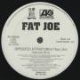 FAT JOE - PROMO - OPPOSITES ATTRACT ( WHAT THEY LIKE ) feat REMY ( CLEAN - INSTR - DIRTY - TV TRACK - ACAPELLA )