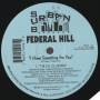 FEDERAL HILL - I HAVE SOMETHING FOR YOU ( T.M.V.S. CLUB MIX - DUB MIX - HOT -N SPYCY DUB )