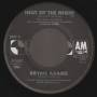 ADAMS BRYAN - HEAT OF THE NIGHT /  ANOTHER DAY