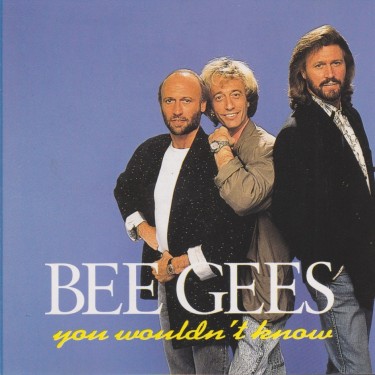 BEE GEES THE - YOU WOULDN’T KNOW