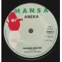 ANEKA - LITTLE LADY / CHASING DREAMS