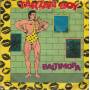 BALTIMORA - TARZAN BOY / DJ VERSION