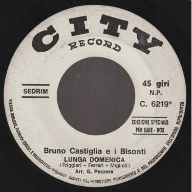 BISONTI I DI BRUNO CASTIGLIA - LUNGA DOMENICA / LA VOCE DELL'ANIMA