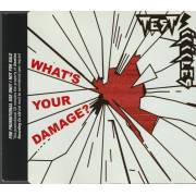 TEST ICICLES - WHAT'S YOUR DAMAGE