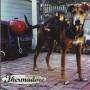 THERMADORE - MONKEY ON RICO