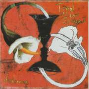 TOAD THE WET SPROCKET - DULCINEA