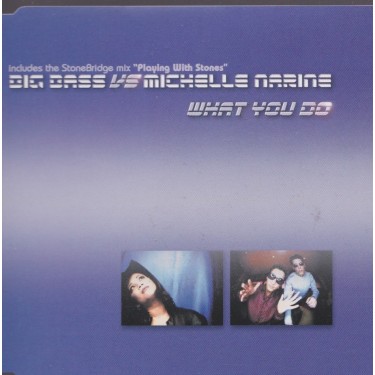 BIG BASS VS MICHELLE NARINE - WHAT YOU DO 3 VERSIONS