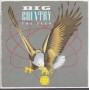 BIG COUNTRY  - THE SEER