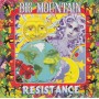 BIG MOUNTAIN - RESISTANCE