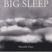 BIG SLEEP - MOONLIGHT DAYS