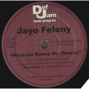 FELONY JAYO - PROMO - WHATCHA GONNA DO ( REMIX  FEAT METHOD MAN & DMX - SHUTEYE REMIX FEAT MACK 10 WC & REDMAN ) / HOW ANGRY