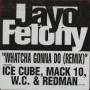 FELONY JAYO - PROMO - WHATCHA GONNA DO ( REMIX  FEAT METHOD MAN & DMX - SHUTEYE REMIX FEAT MACK 10 WC & REDMAN ) / HOW ANGRY