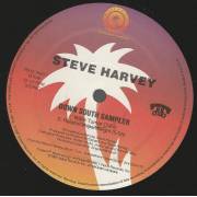 HARVEY STEVE - PROMO - DOWN SOUTH SAMPLER ( PRAYING - WONDERFUL WEEKEND - WILLIE TURNER - RELATIONSHIPS / WEIGHT )