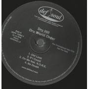 HILL DRU - PROMO - DRU WORLD ORDER ( OLD LOVE - IF I COULD - ON ME FEAT N.O.R.E. - NO DOUBT - INSTR