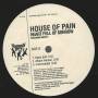 HOUSE OF PAIN  - PROMO - PASS THE JINN ( RADIO EDIT - ALBUM VERSION - INSTR )